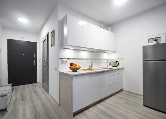 Penelopa Silver 아파트 슈비노우이스쳬